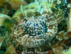 t'as de beaux yeux tu sais! by Nadia Tagnaouti 